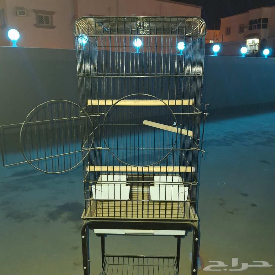 Birdcage63997501921282112