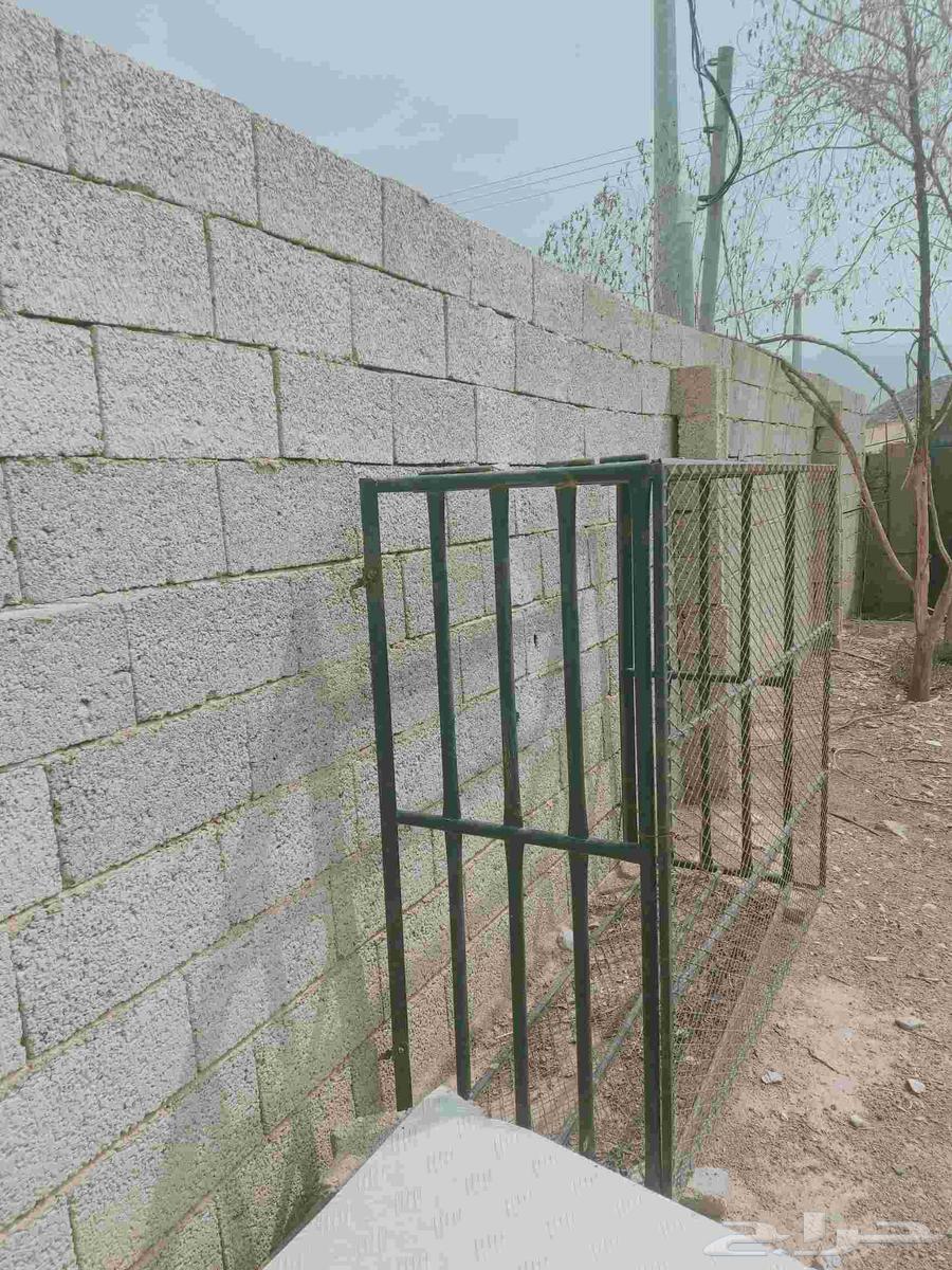 شبك هايلوكس64261963162243110