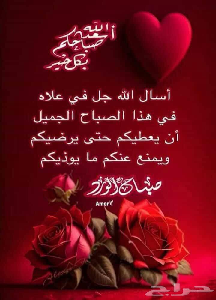 سائق نقل63678629276802110