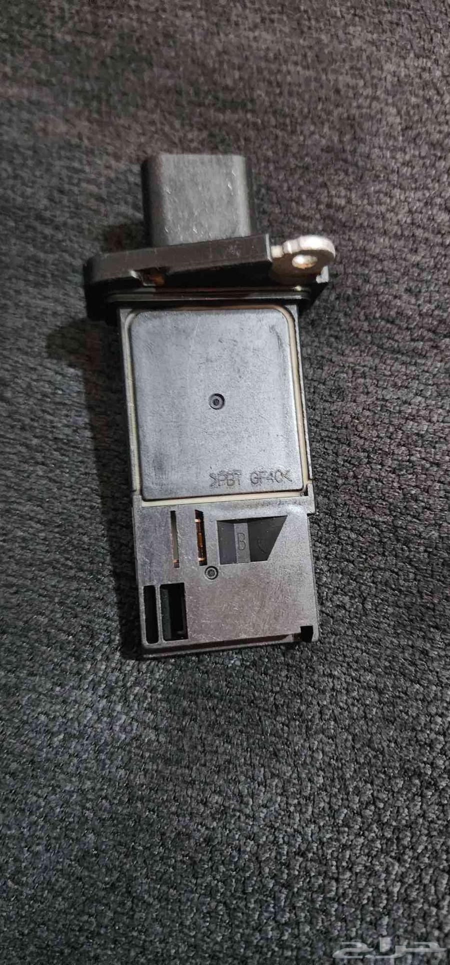 قطع موستنق 200763675139134083114