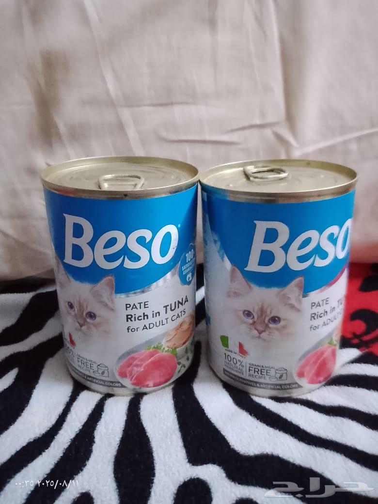 Sterilized cat food for sale, all together 300 new, urgent sale63999123100547113