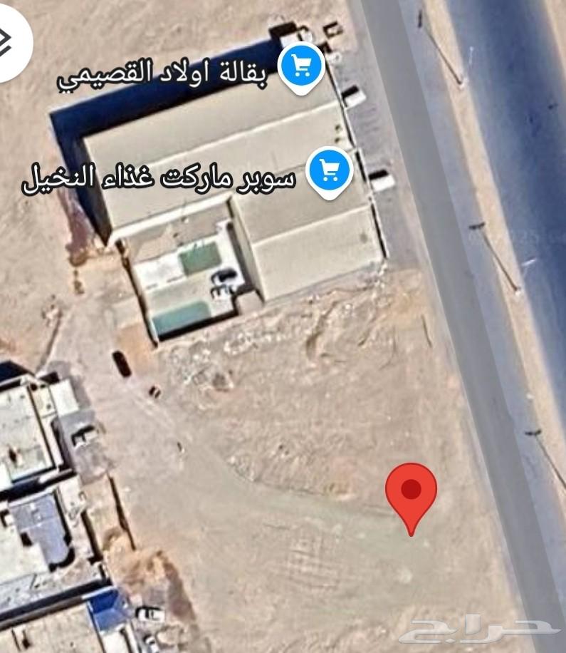 ارض للايجار تبوك حي النخيل63612995041409110