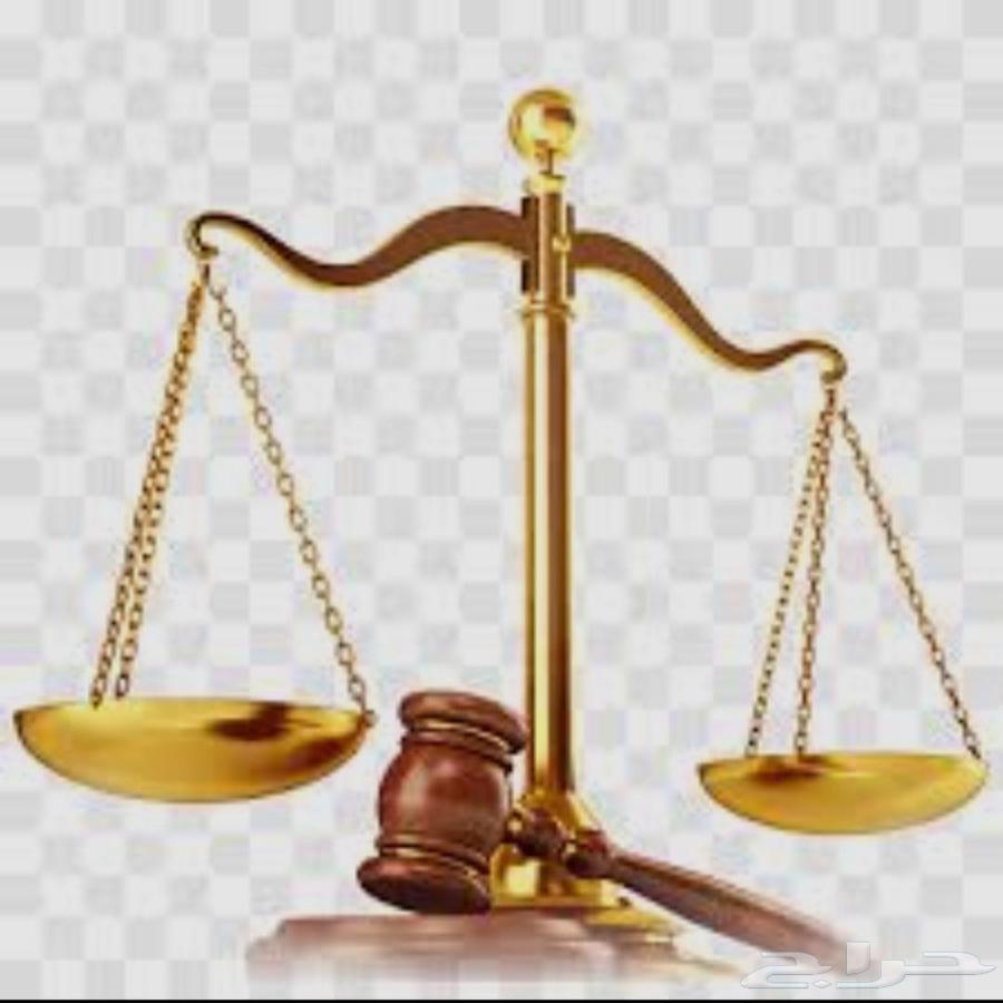 Lawyer and Law Firm for All Cases63615481016450110