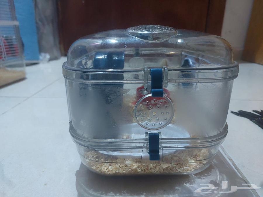 Hamster Pair with Cage for 5064062237735298111