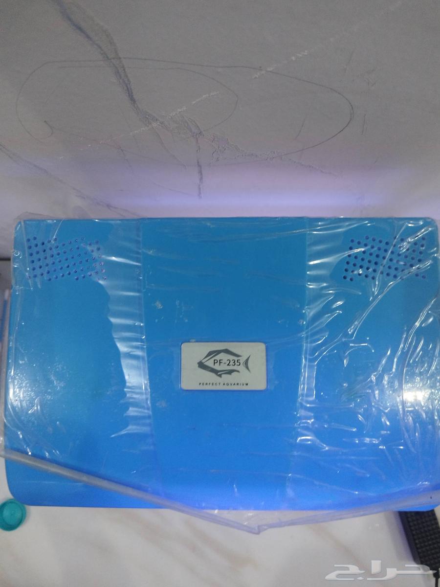 حوض سمك يوجد فيه سمك منتج64072208862209111