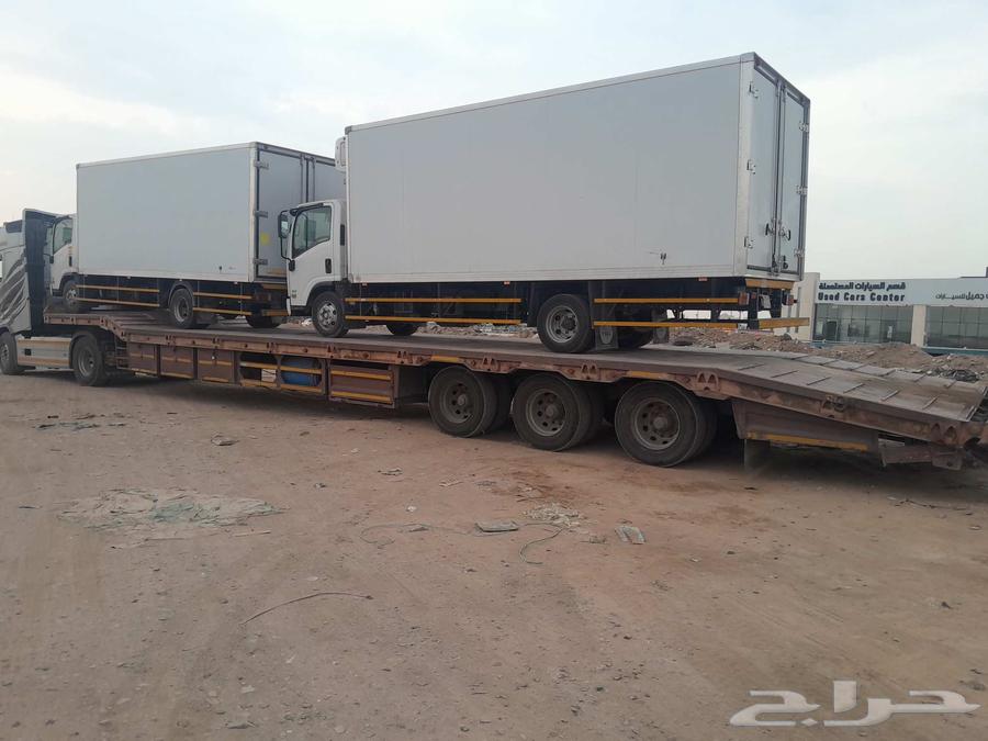 لوبد في جدة64345299540866110