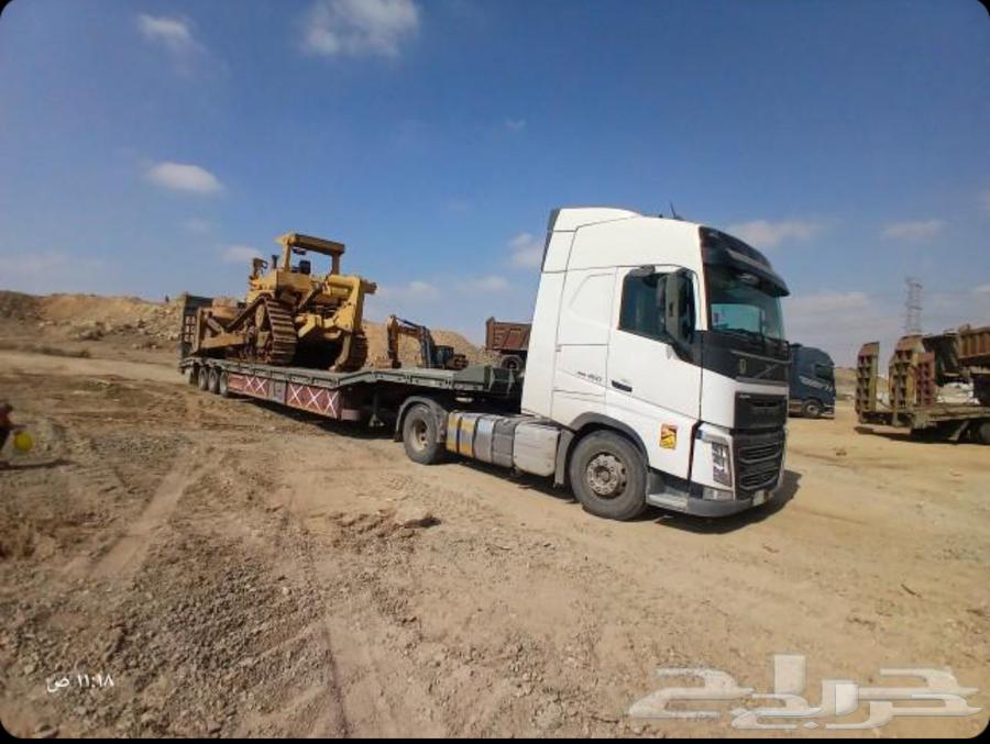 مرحبا، هل يوجد لوبيد في تبوك ضبا مويلح64273797431171110