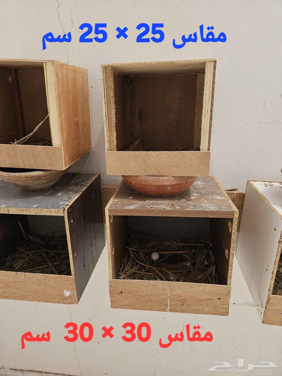 Pigeon lofts64099029855873113