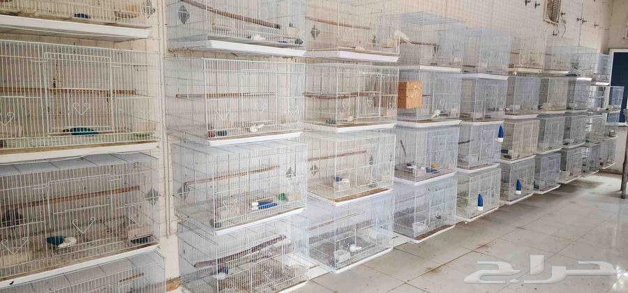 Used 601 Cages64099257253506110