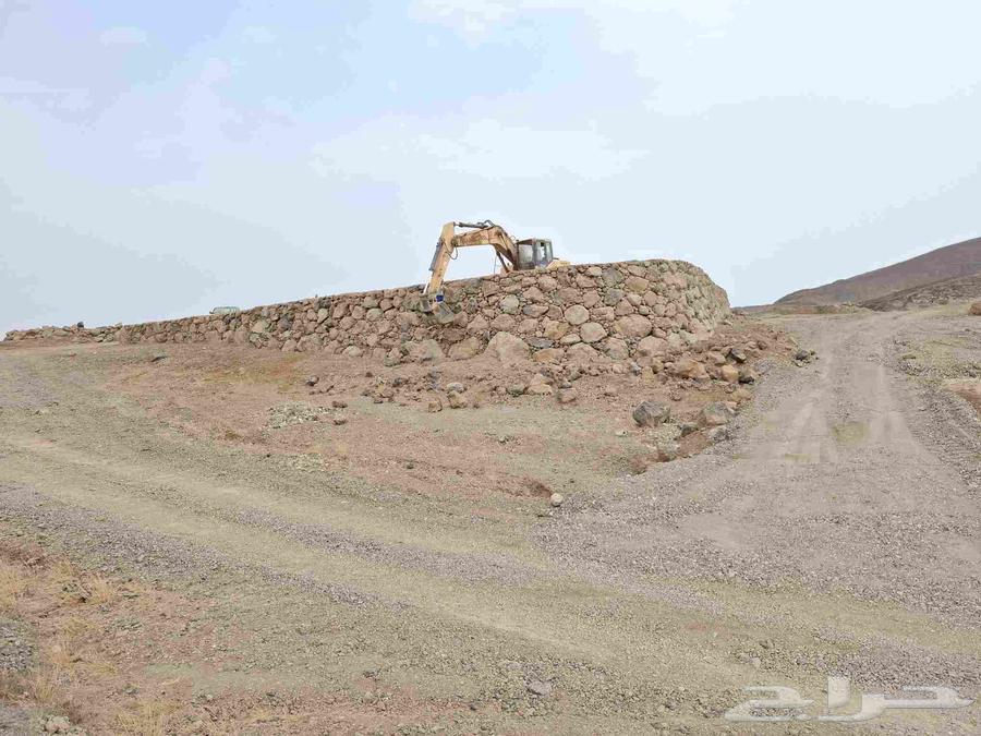 البرك القحمه الحريضه64358009281667110