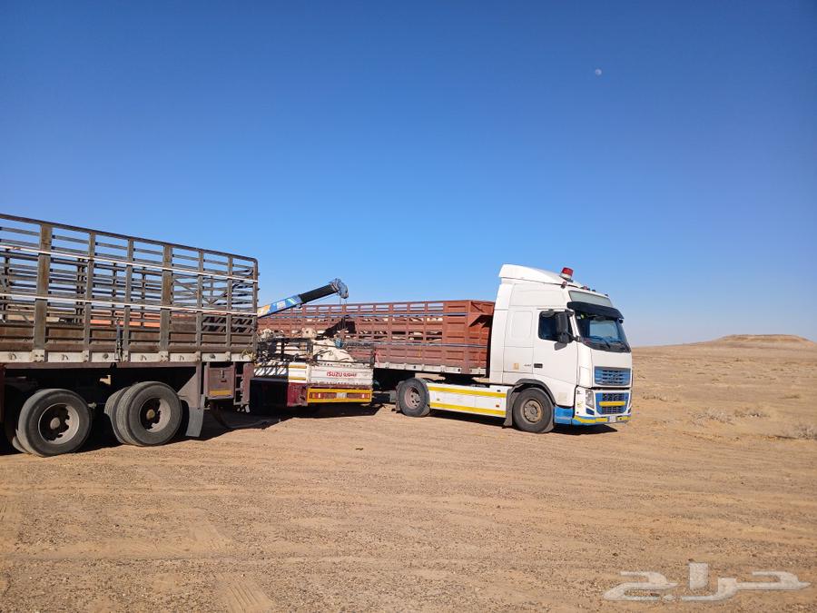 تريلة جوانب عالي لتحميل الاعلاف والأبل متواجد طبرجل وماحوله64365055590787111