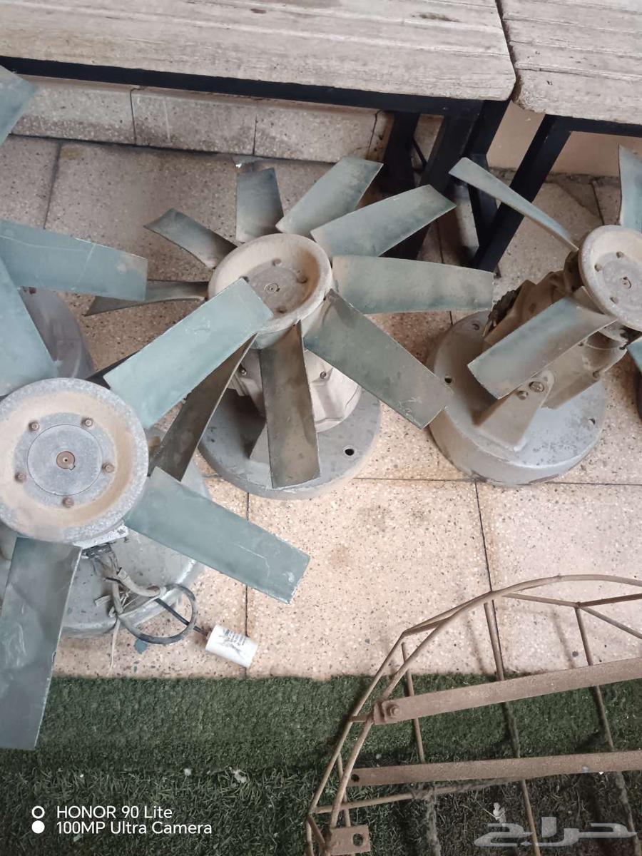 مراوح الحرم القديمه نوع باكستاني للبيع الحبه 200 ريال64143478665346113