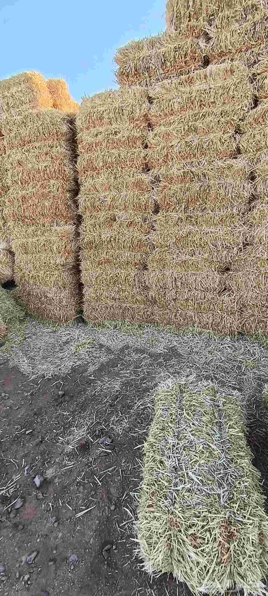 New Wheat Straw Strong Rope63655709481857111