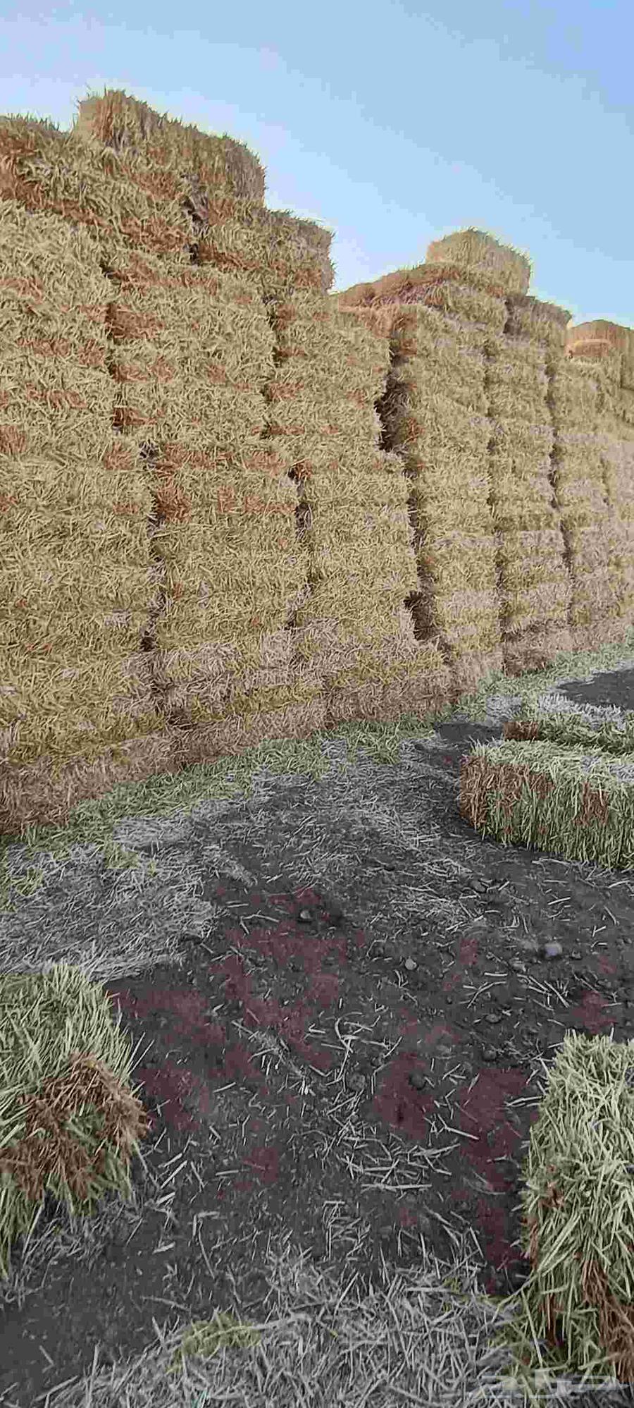 New Wheat Straw Strong Rope63655709481857114