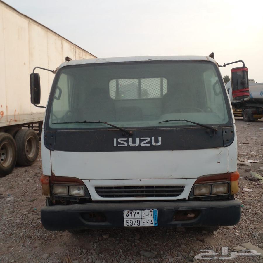 دينا ايسوزو 200564369411010179111