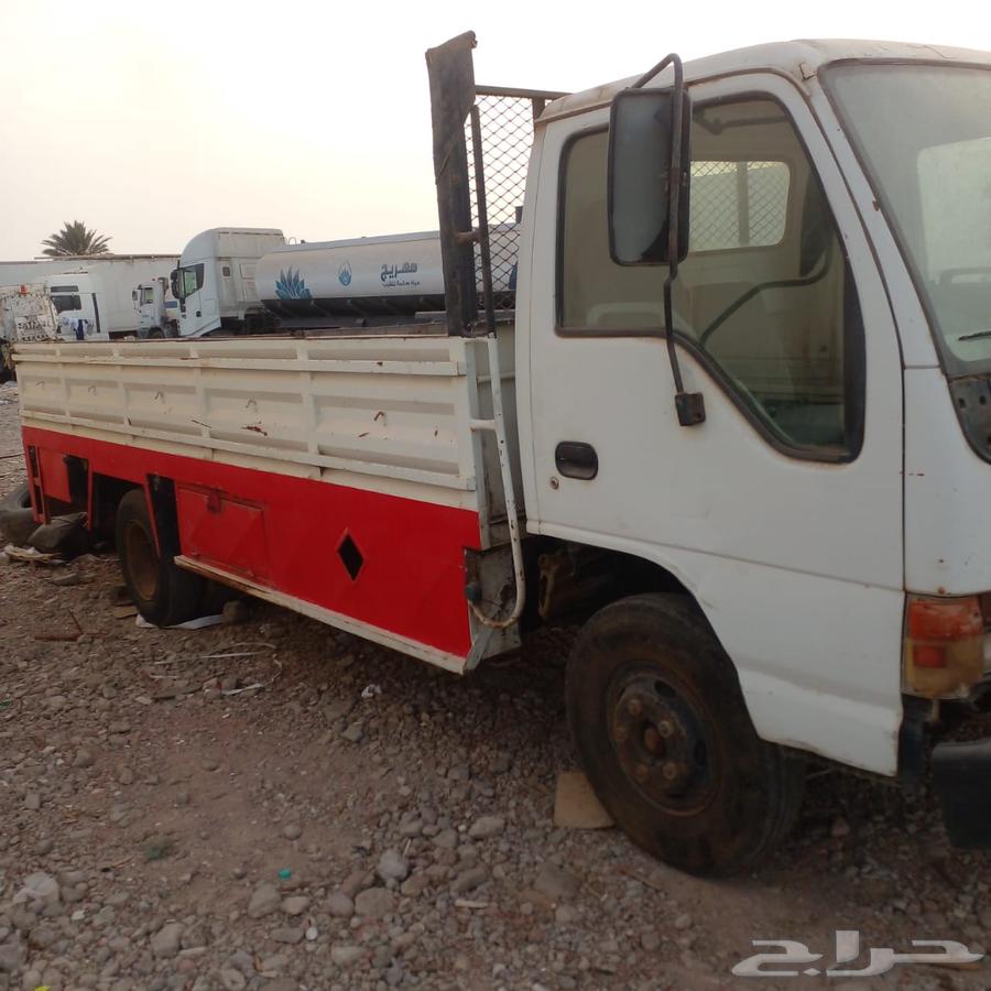 دينا ايسوزو 200564369411010179110