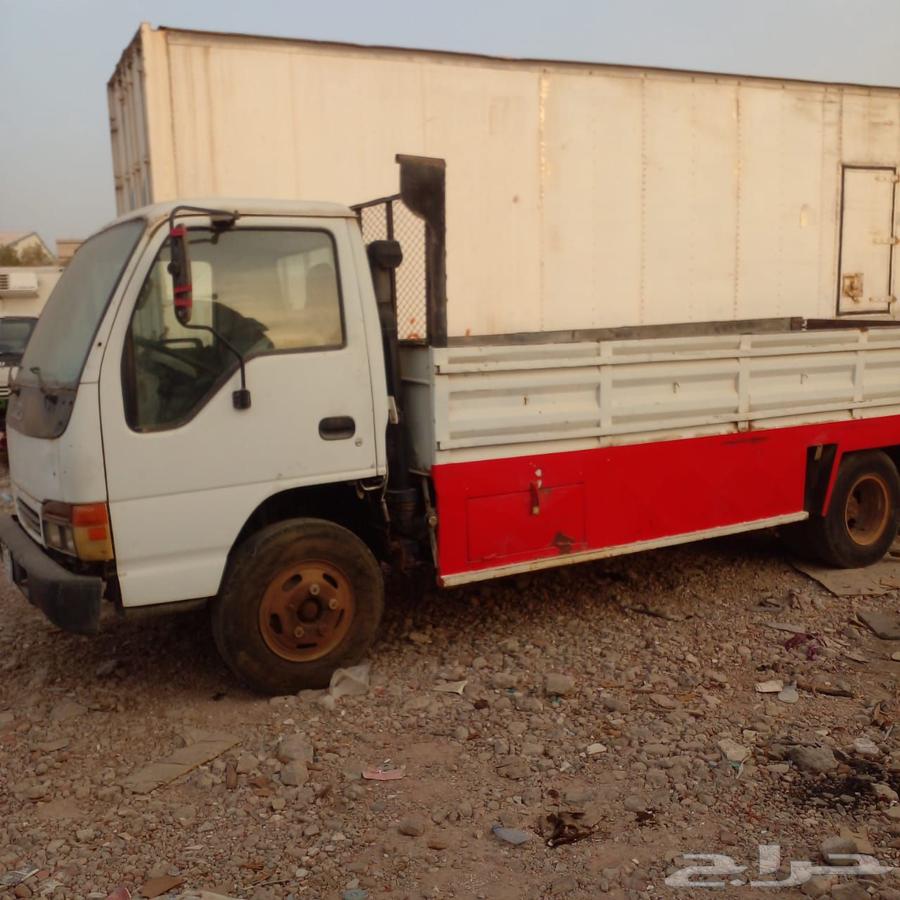 دينا ايسوزو 200564369411010179112