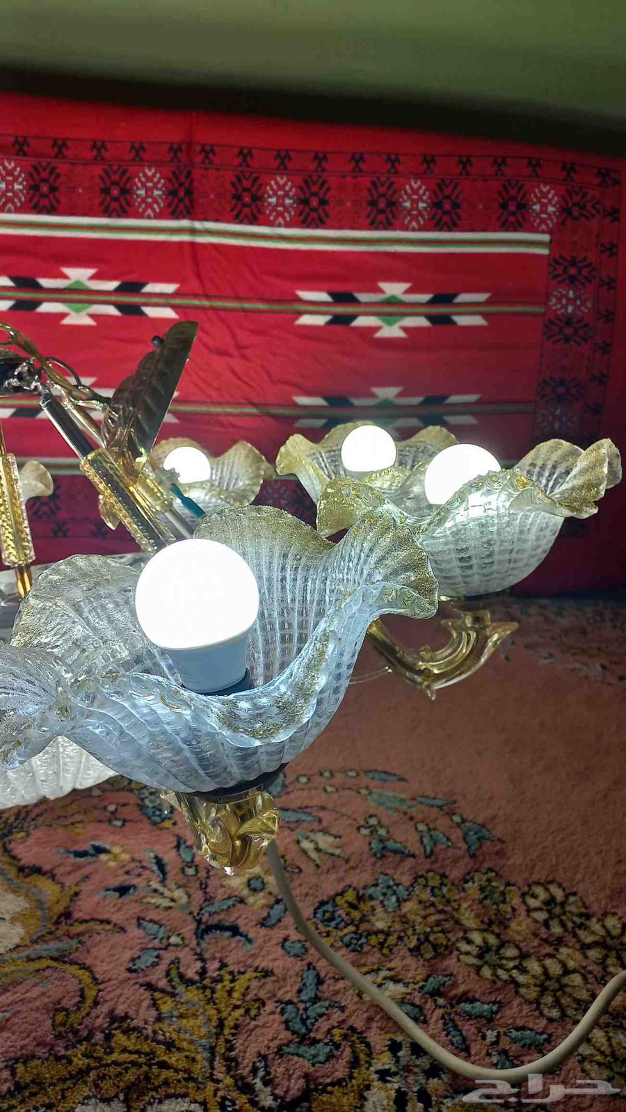 نجفه كبيره63676292362499112