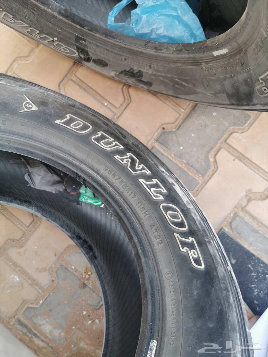 كفر نص عمر عدد 264365055606529113