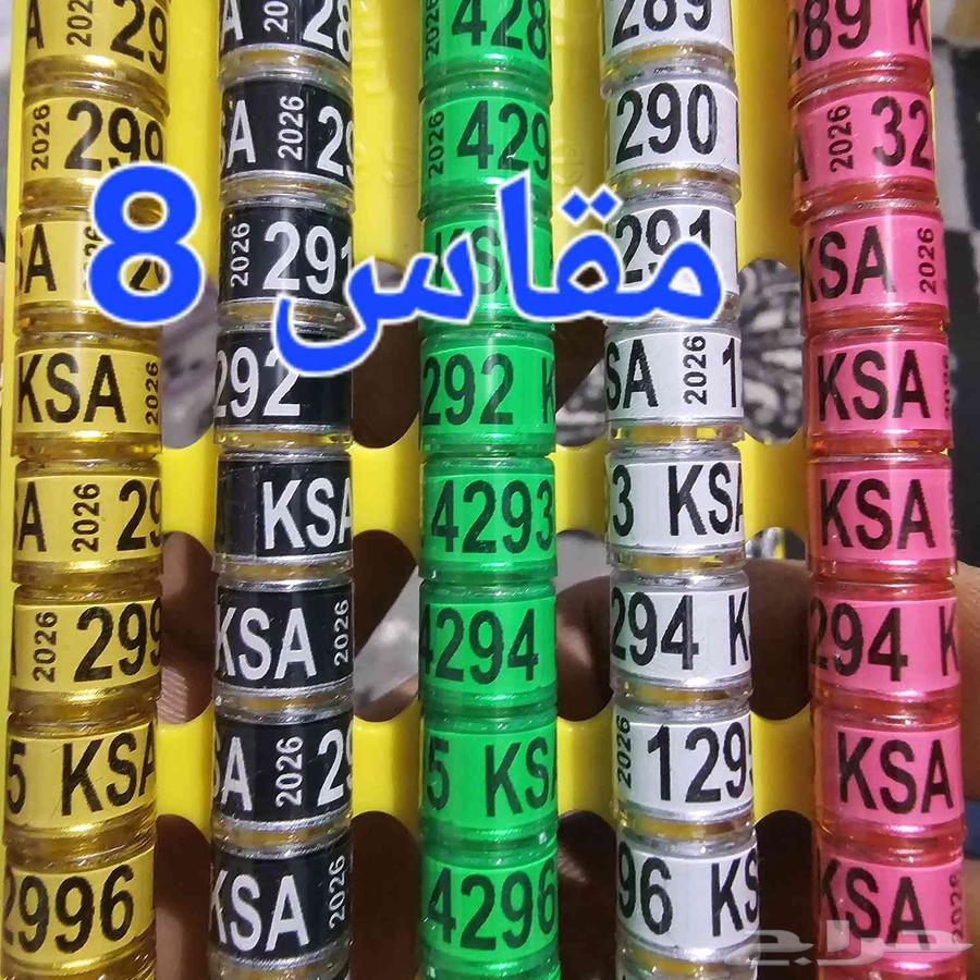 حجول حمام 202664144720395394110