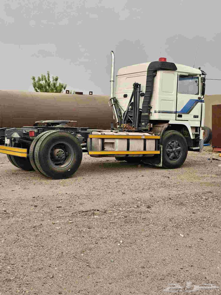 فلفو للبيع64368281270403110