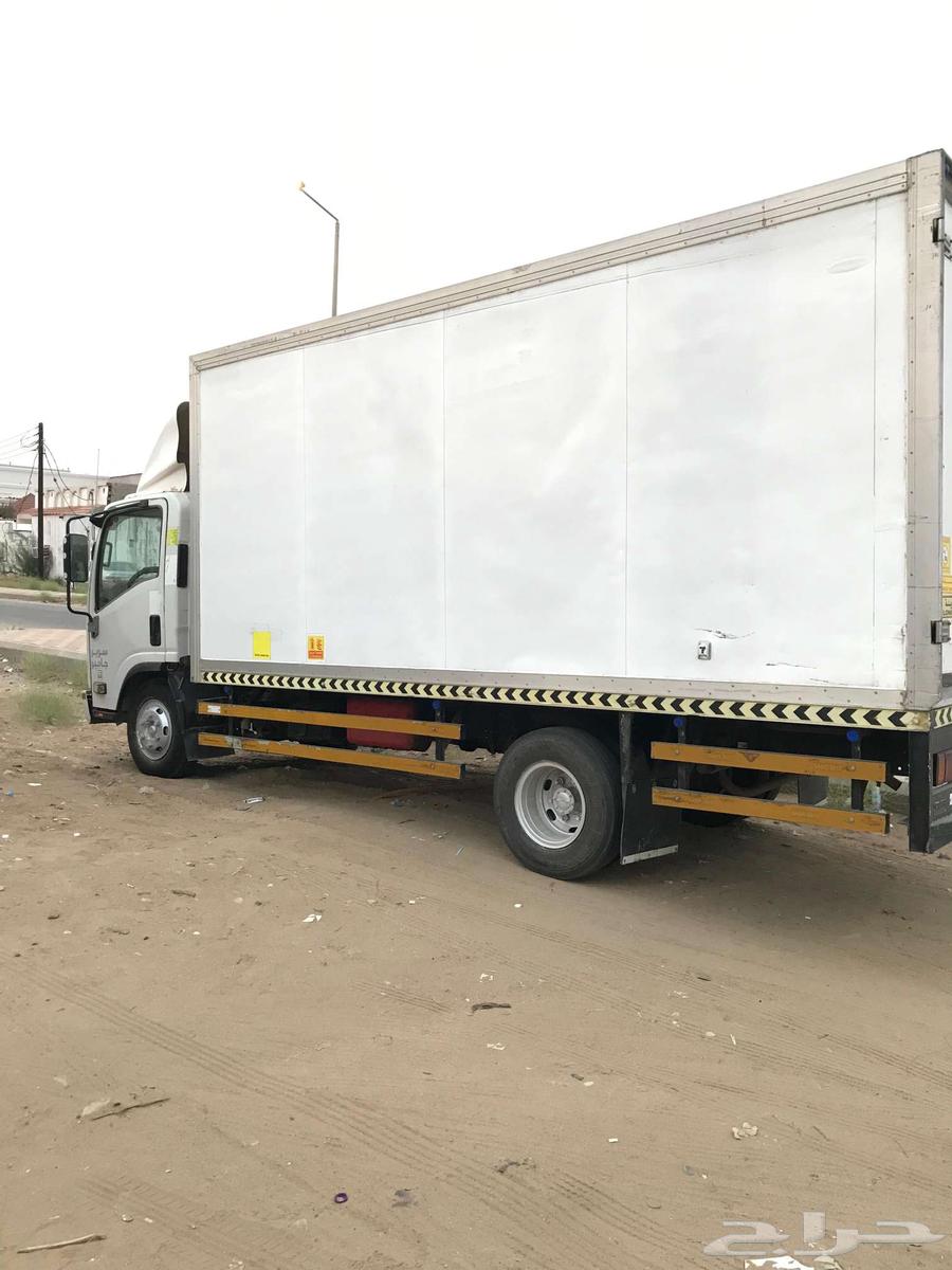 دينا ايسوزو 201664371569520385111