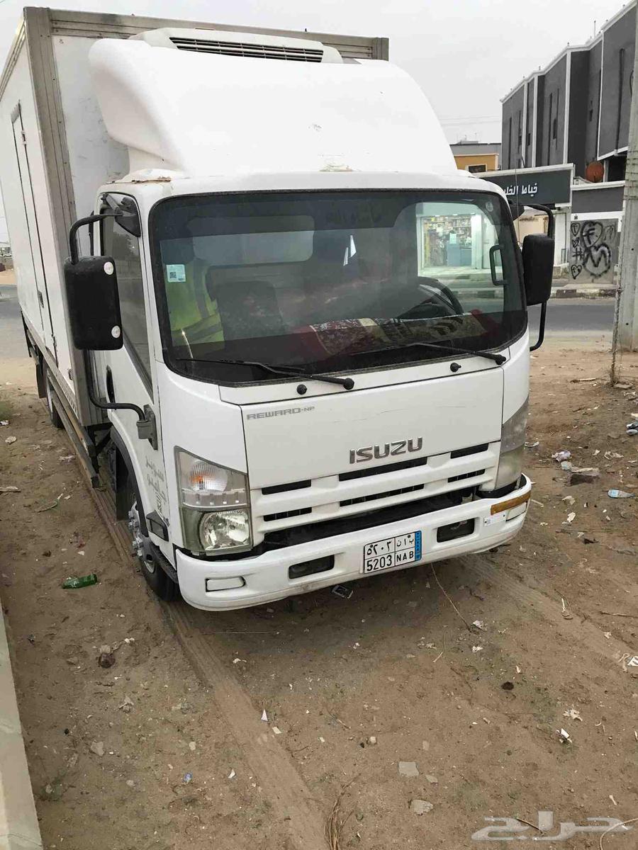 دينا ايسوزو 201664371569520385113