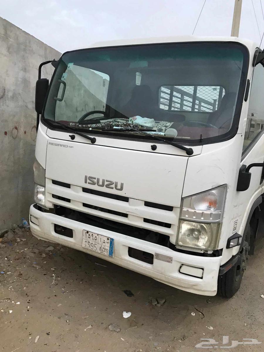 دينا ايسوزو 201664371569520385114