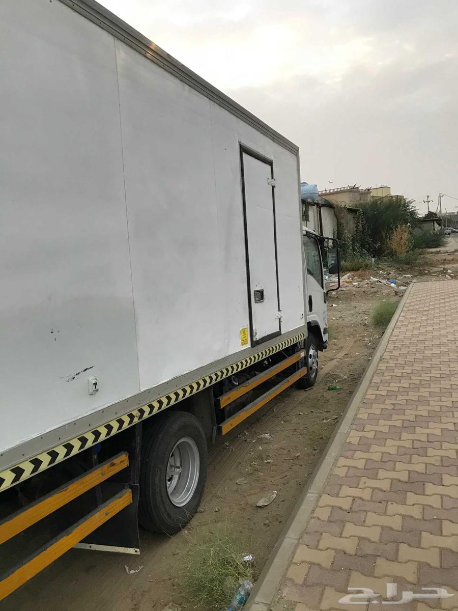 دينا ايسوزو 201664371569520385110