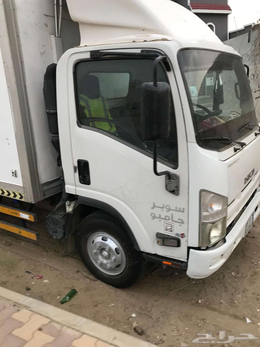 دينا ايسوزو 201664371569520385112