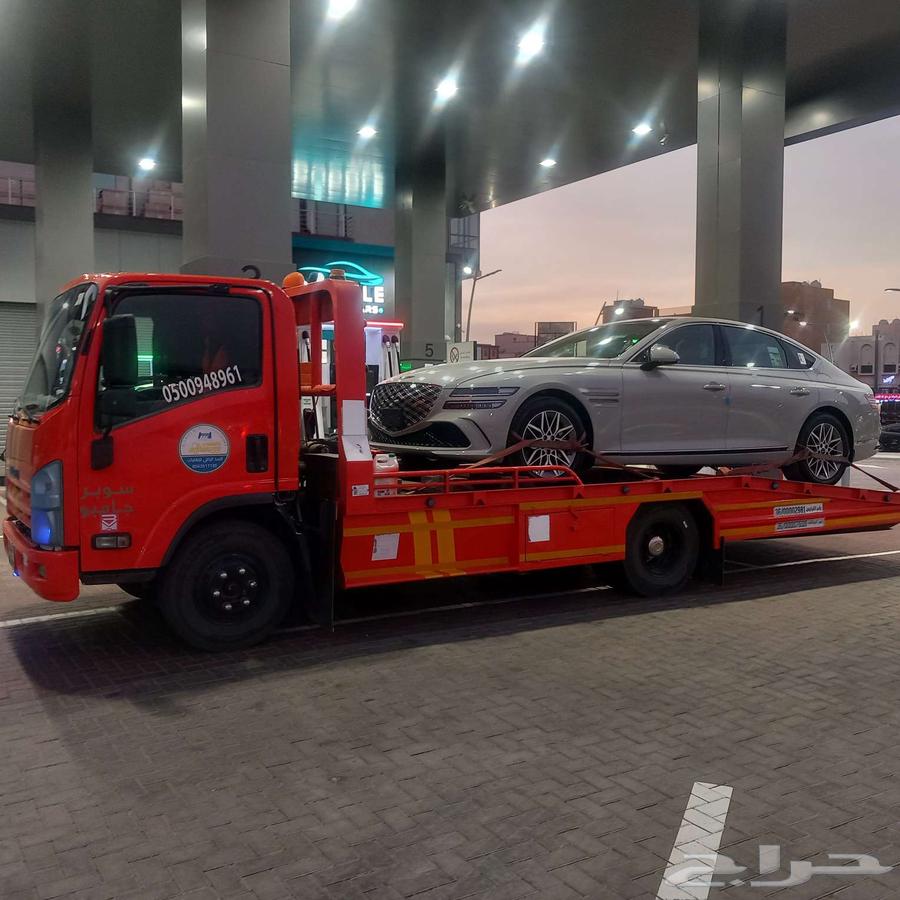 SCT القوز القنفد64364455473409110