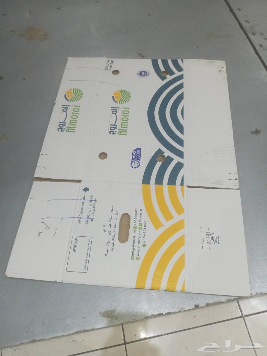 Two empty balls64359793008513112