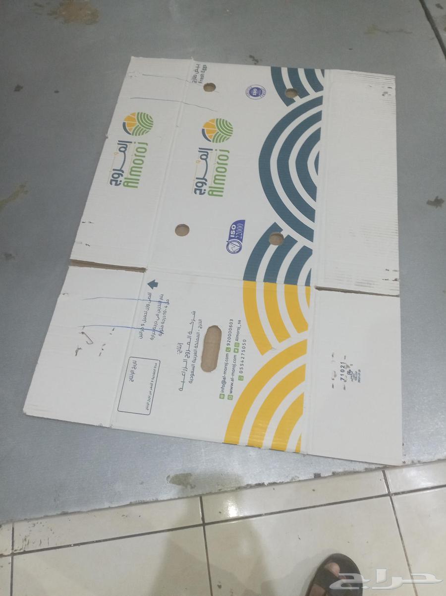 Two empty balls64359793008513113