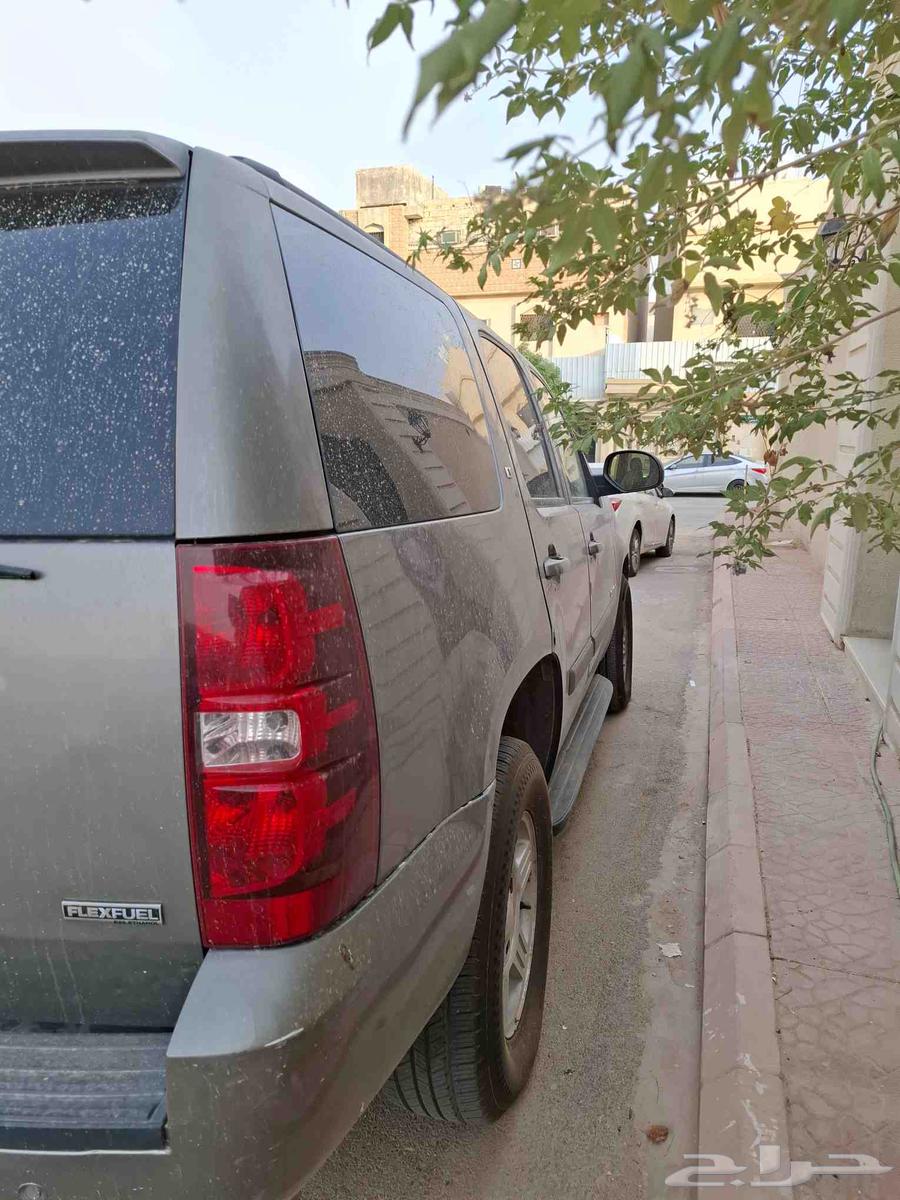 Tahou 2008 Double Opening64366380522882113