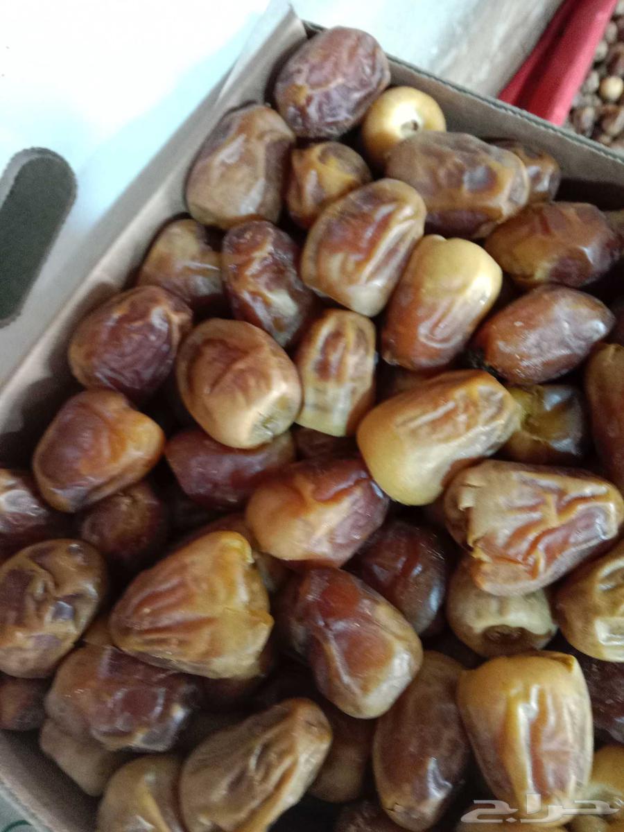 Sukkari Dates64141533478531110