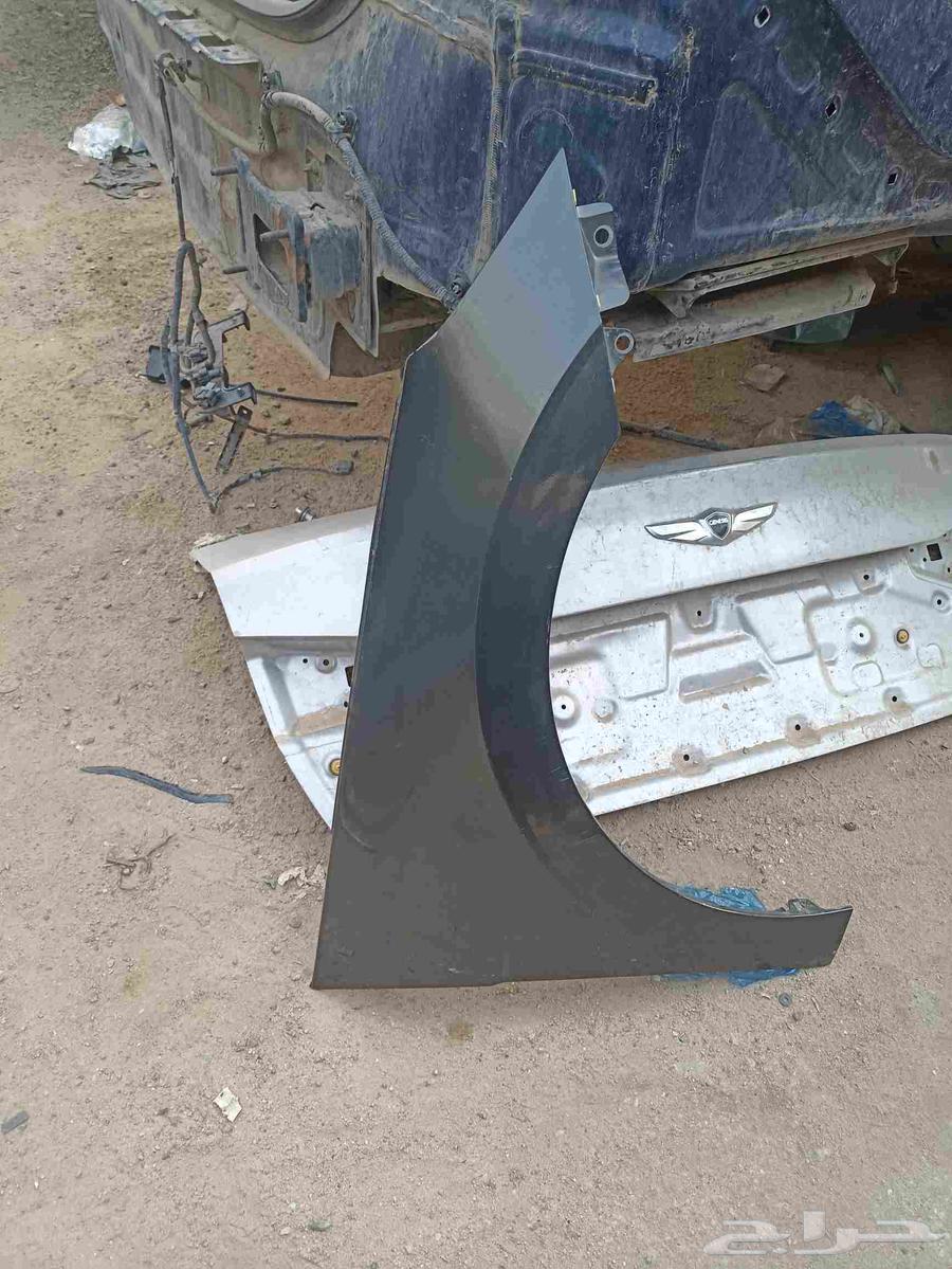 رفرف يمين النترا 202264367945675265112