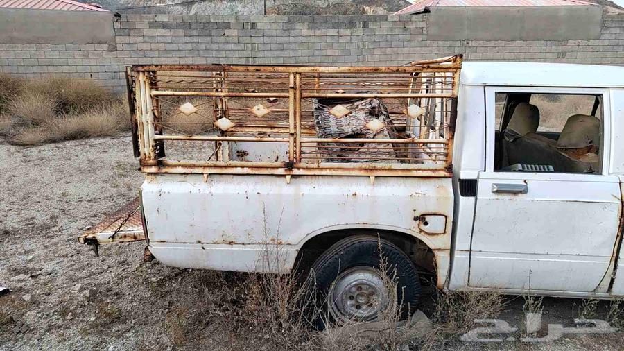 شد او حنايا او شبك64370081285249112