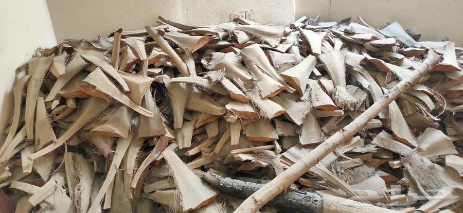 Dry palm carbon for sale64141550594305110