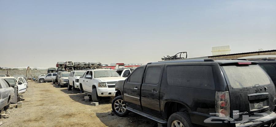 All types of buffaloes are available at good prices for contact64361696585347112