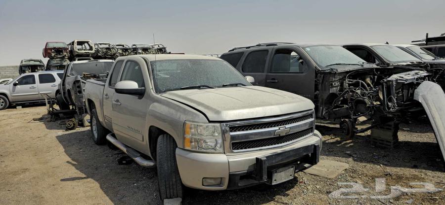 All types of buffaloes are available at good prices for contact64361696585347111