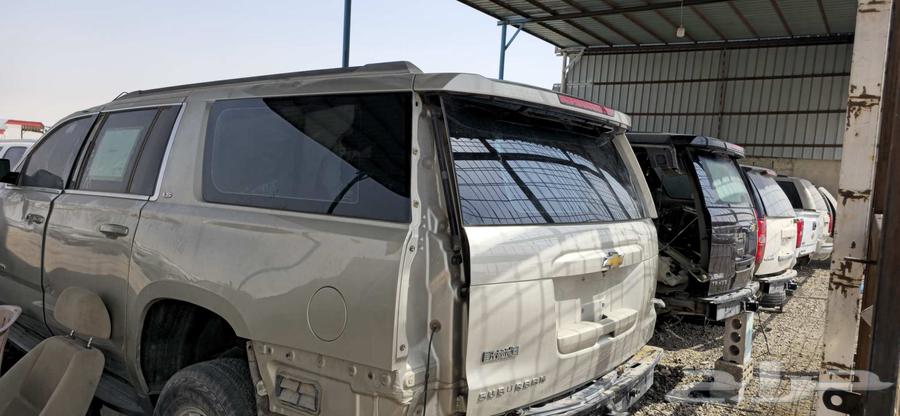 All types of buffaloes are available at good prices for contact64361696585347114