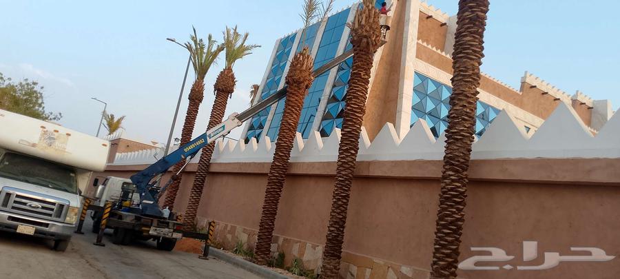 كرين ونش رافعه مع السله للئيجار اليومي تخليص اعمال الصيانه64360638246530110