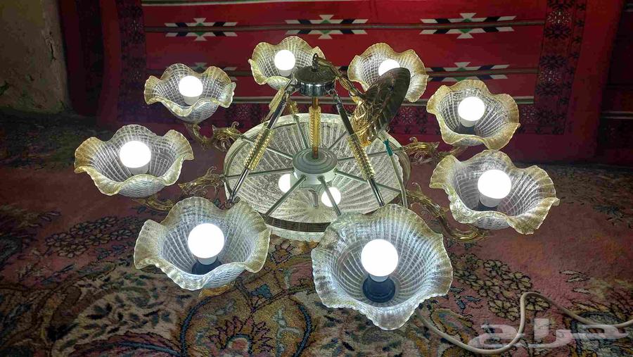 نجفه كبيره63676292362499111