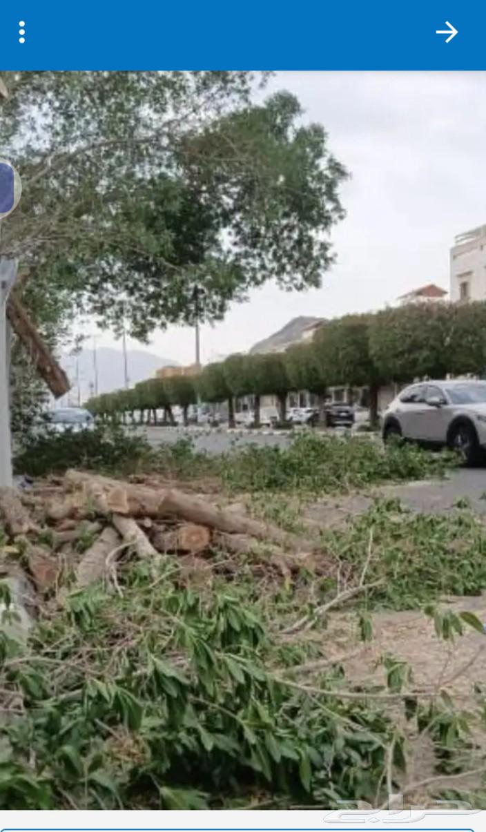 Shading with container64369586028035110