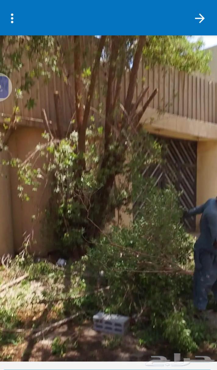 Shading with container64369586028035111