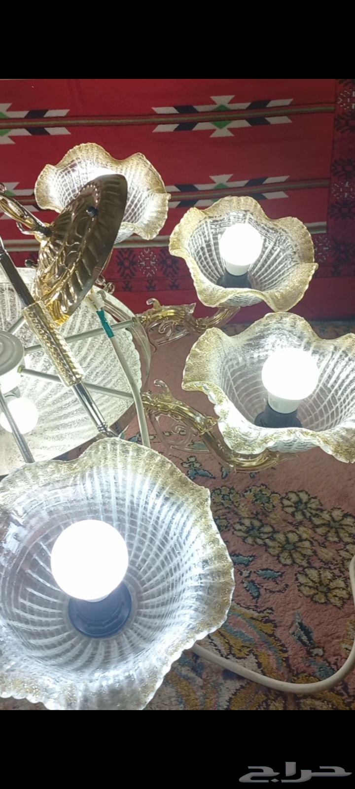 نجفه كبيره63676292362499110