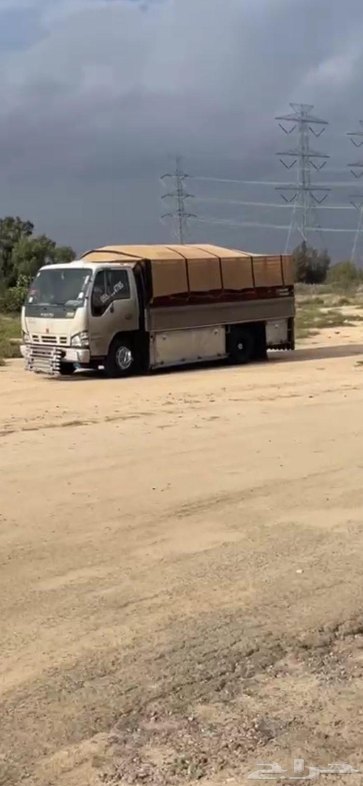 دينا دينه64369908131843110