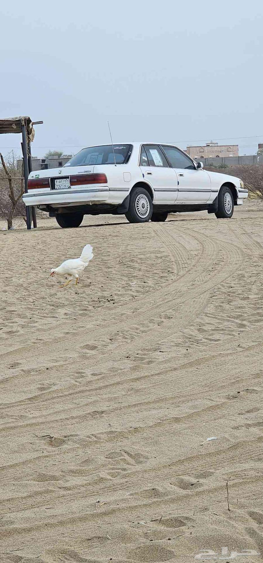 كرسيدا 94 مكينه قير مكيف عضلات استمارةفحص كلهاممتازة64343434070146112