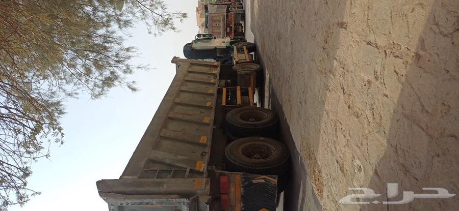 تيرلا اكتروس هاف ميجا 200764374156181507114