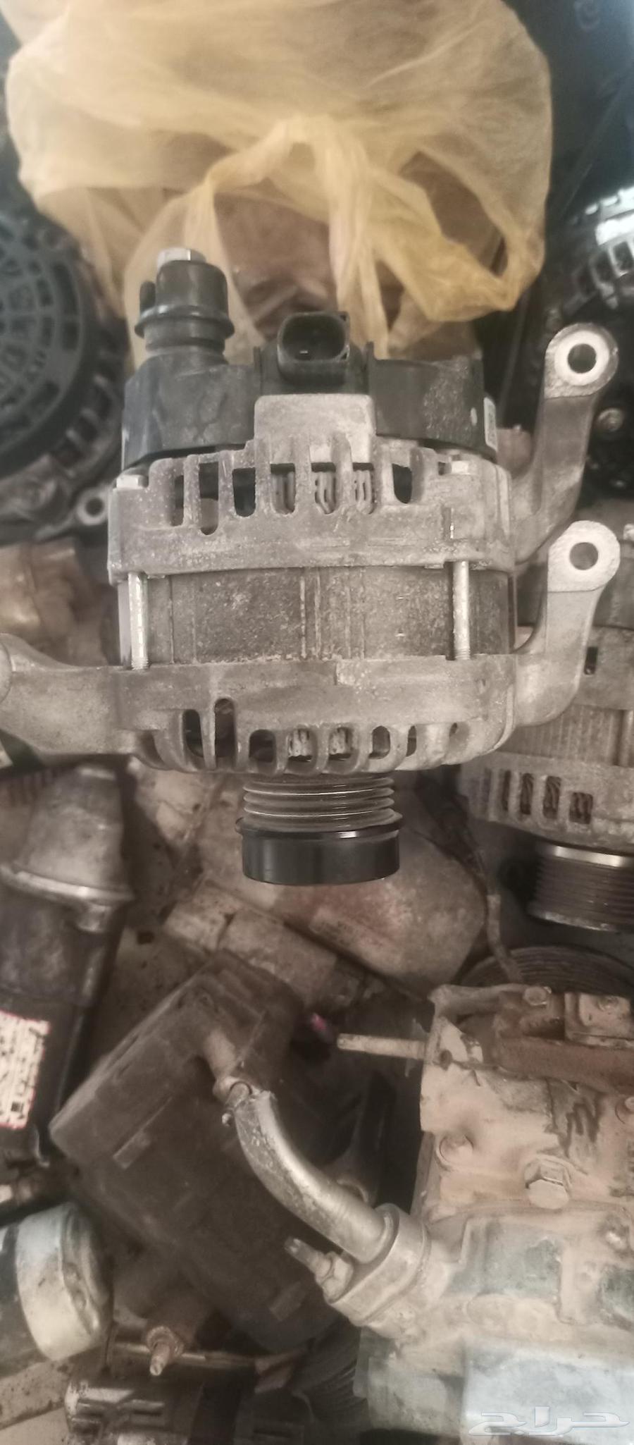 Dynamo Explorer 2020 Original Imported from Agency64380696591617110